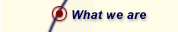 What we are